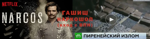 стафф Новодвинск