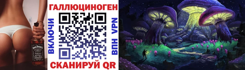 ссылка на мегу как зайти Новомичуринск Псилоцибиновые грибы прущие грибы
