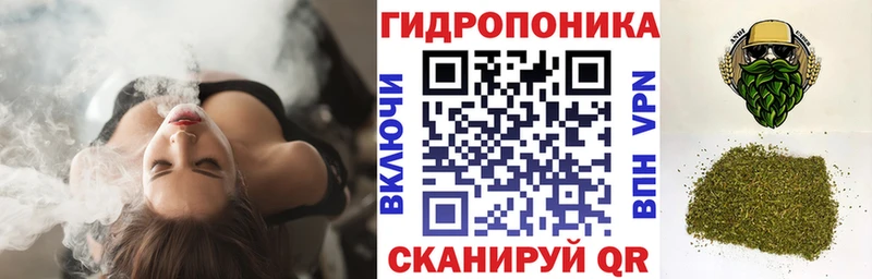 МЕГА онион  Новомичуринск  Каннабис VHQ 
